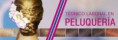 /products/tecnico-en-peluqueria/